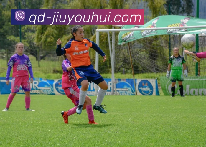 J9九游会官网APP 封面图